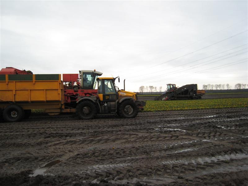 Leon Vissers Vissers aardbeiplanten BV America (23).jpg